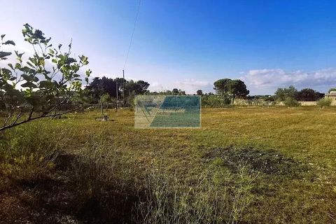 Helårsgrund i Noto, Siracusa, Noto - € 85.000 | Ref: NT TCAM 31 - foto 11