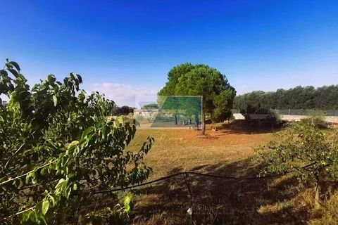 Helårsgrund i Noto, Siracusa, Noto - € 85.000 | Ref: NT TCAM 31 - foto 12