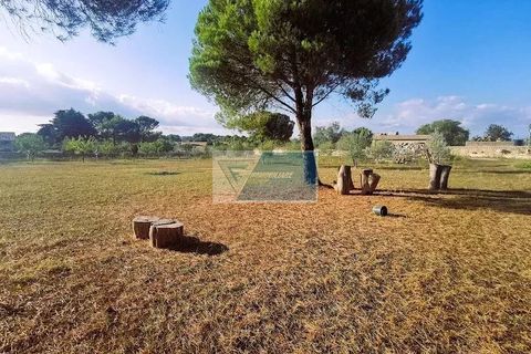 Helårsgrund i Noto, Siracusa, Noto - € 85.000 | Ref: NT TCAM 31 - foto 13
