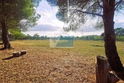 Helårsgrund i Noto, Siracusa, Noto - € 85.000 | Ref: NT TCAM 31 - foto 14