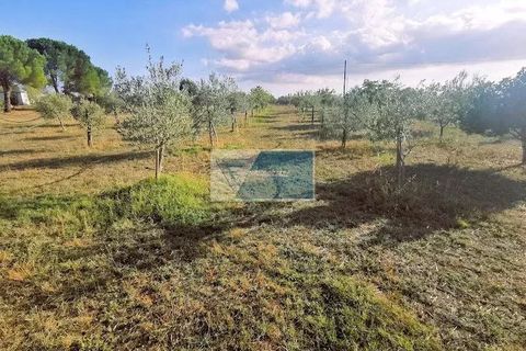 Helårsgrund i Noto, Siracusa, Noto - € 85.000 | Ref: NT TCAM 31 - foto 16
