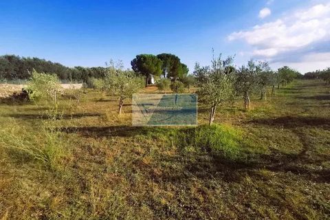 Helårsgrund i Noto, Siracusa, Noto - € 85.000 | Ref: NT TCAM 31 - foto 17