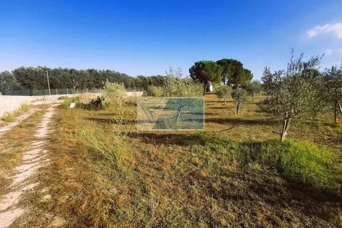 Helårsgrund i Noto, Siracusa, Noto - € 85.000 | Ref: NT TCAM 31 - foto 18