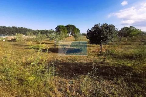 Helårsgrund i Noto, Siracusa, Noto - € 85.000 | Ref: NT TCAM 31 - foto 19
