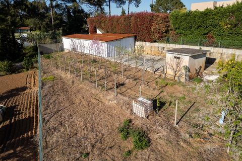 Villa i Gondomar, Porto, Gondomar - € 2.500.000 | Ref: NG_M26 - foto 7