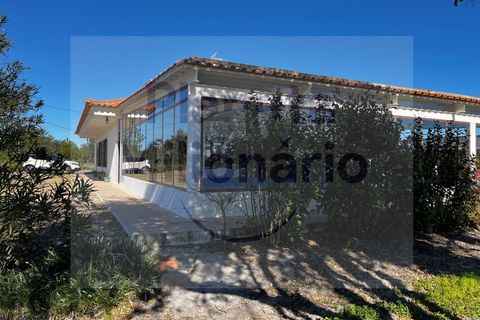 Landejendom i Torrao, Setubal, Torrao - € 1.490.000 | Ref: EXP_2 - foto 1