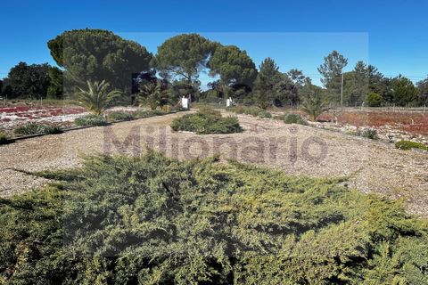 Landejendom i Torrao, Setubal, Torrao - € 1.490.000 | Ref: EXP_2 - foto 3