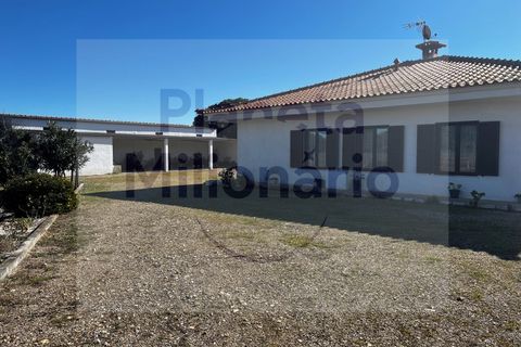 Landejendom i Torrao, Setubal, Torrao - € 1.490.000 | Ref: EXP_2 - foto 4