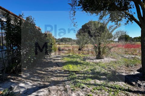 Landejendom i Torrao, Setubal, Torrao - € 1.490.000 | Ref: EXP_2 - foto 7
