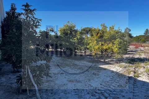 Landejendom i Torrao, Setubal, Torrao - € 1.490.000 | Ref: EXP_2 - foto 17