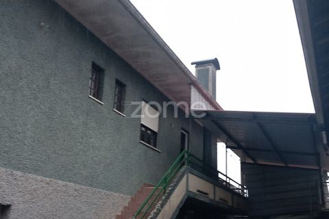 Villa i Mortagua, Viseu, Mortagua - € 200.000 | Ref: ZMPT579978 - foto 31