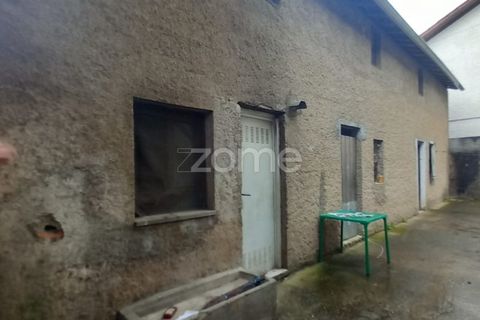 Villa i Mortagua, Viseu, Mortagua - € 200.000 | Ref: ZMPT579978 - foto 38