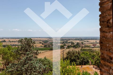 Villa a Cerveteri, Rome, Cerveteri - € 1.950.000 | Ref: Cerveteri - foto 41