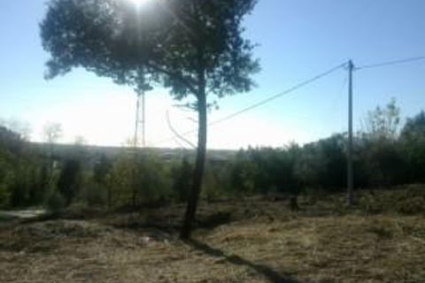 Terra a Luni, La Spezia, Luni - € 300.000 | Ref: 1093 - foto 2