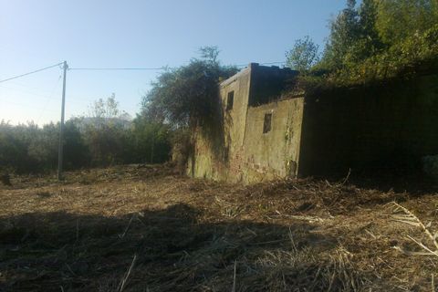 Terra a Luni, La Spezia, Luni - € 300.000 | Ref: 1093 - foto 3