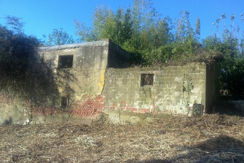 Terra a Luni, La Spezia, Luni - € 300.000 | Ref: 1093 - foto 4