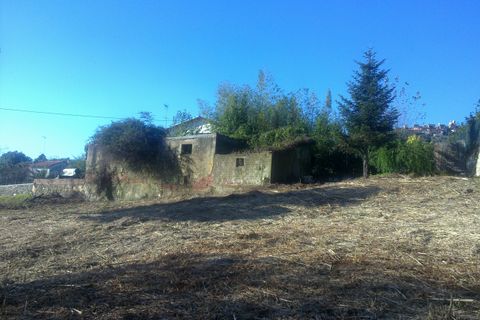 Terra a Luni, La Spezia, Luni - € 300.000 | Ref: 1093 - foto 5