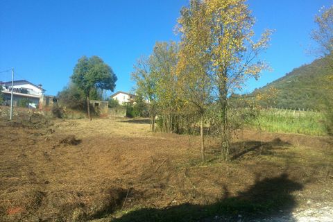 Terra a Luni, La Spezia, Luni - € 300.000 | Ref: 1093 - foto 6