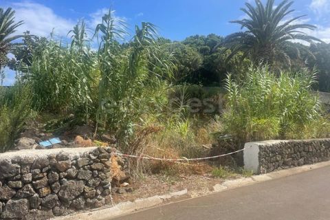Tomt i Cabo da Praia, Terceira, Cabo da Praia - € 45 000 | Ref: AZ97876DA - foto 2