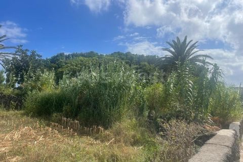 Tomt i Cabo da Praia, Terceira, Cabo da Praia - € 45 000 | Ref: AZ97876DA - foto 8