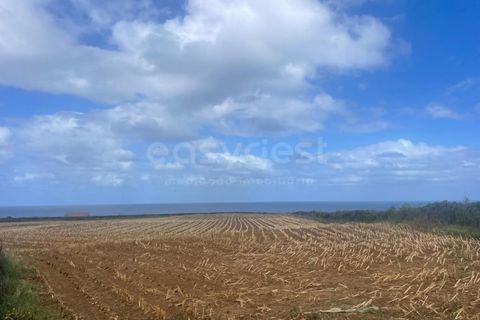 Tomt i Cabo da Praia, Terceira, Cabo da Praia - € 45 000 | Ref: AZ97876DA - foto 14