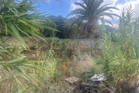 Tomt i Cabo da Praia, Terceira, Cabo da Praia - € 45 000 | Ref: AZ97876DA - foto 16