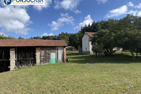 Landejendom i Dego, Savona, Dego - € 180.000 | Ref: F166-833 - foto 9
