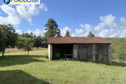 Landejendom i Dego, Savona, Dego - € 180.000 | Ref: F166-833 - foto 11