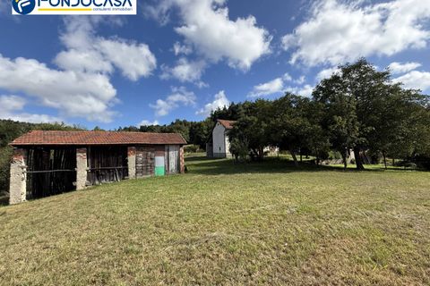 Landejendom i Dego, Savona, Dego - € 180.000 | Ref: F166-833 - foto 12
