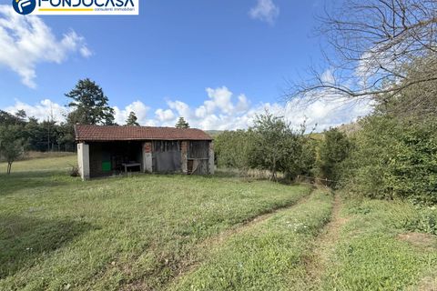 Landejendom i Dego, Savona, Dego - € 180.000 | Ref: F166-833 - foto 16