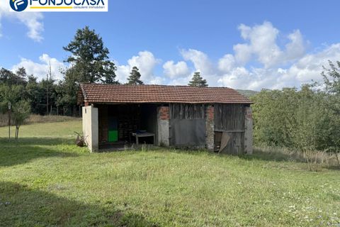 Landejendom i Dego, Savona, Dego - € 180.000 | Ref: F166-833 - foto 17