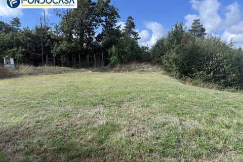 Landejendom i Dego, Savona, Dego - € 180.000 | Ref: F166-833 - foto 18