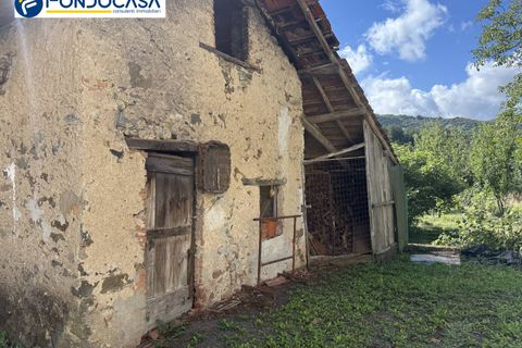 Landejendom i Dego, Savona, Dego - € 180.000 | Ref: F166-833 - foto 21
