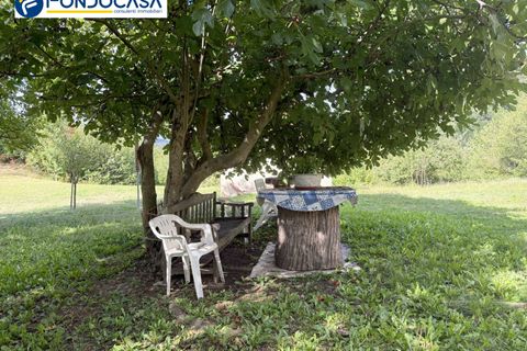 Landejendom i Dego, Savona, Dego - € 180.000 | Ref: F166-833 - foto 24