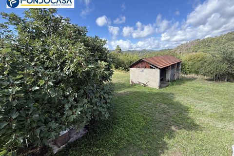 Landejendom i Dego, Savona, Dego - € 180.000 | Ref: F166-833 - foto 43