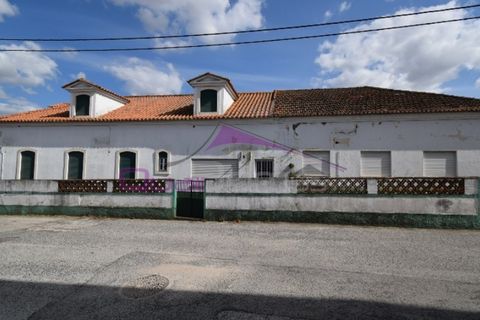 Erhvervsejendom i Riachos, Santarem, Riachos - € 330.000 | Ref: 1850 - foto 4