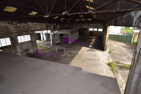 Erhvervsejendom i Riachos, Santarem, Riachos - € 330.000 | Ref: 1850 - foto 9
