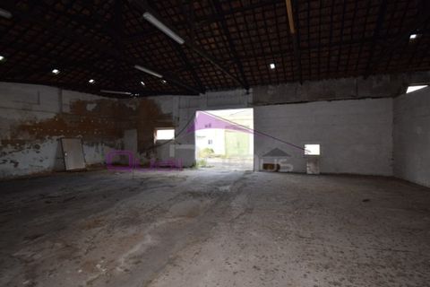 Erhvervsejendom i Riachos, Santarem, Riachos - € 330.000 | Ref: 1850 - foto 10