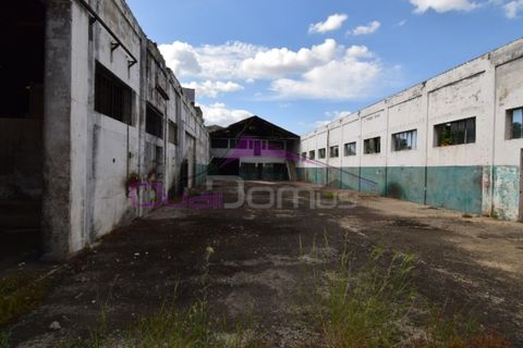 Erhvervsejendom i Riachos, Santarem, Riachos - € 330.000 | Ref: 1850 - foto 11