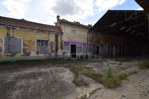 Erhvervsejendom i Riachos, Santarem, Riachos - € 330.000 | Ref: 1850 - foto 16