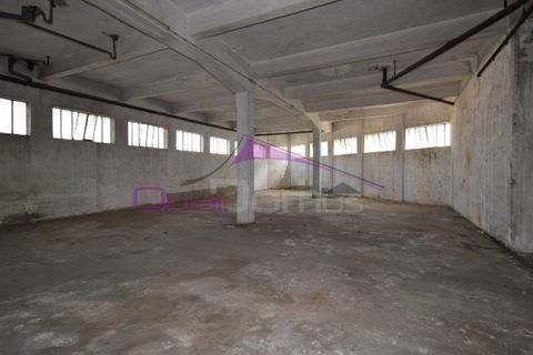 Erhvervsejendom i Riachos, Santarem, Riachos - € 330.000 | Ref: 1850 - foto 21