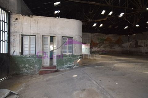 Erhvervsejendom i Riachos, Santarem, Riachos - € 330.000 | Ref: 1850 - foto 23
