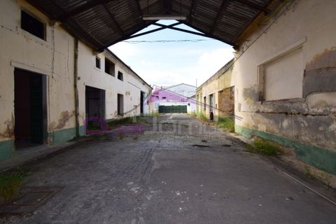 Erhvervsejendom i Riachos, Santarem, Riachos - € 330.000 | Ref: 1850 - foto 27