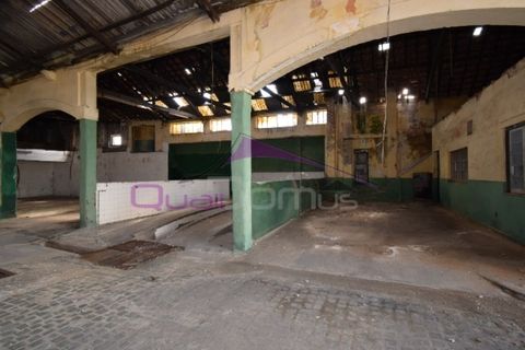 Erhvervsejendom i Riachos, Santarem, Riachos - € 330.000 | Ref: 1850 - foto 32