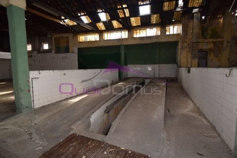 Erhvervsejendom i Riachos, Santarem, Riachos - € 330.000 | Ref: 1850 - foto 33