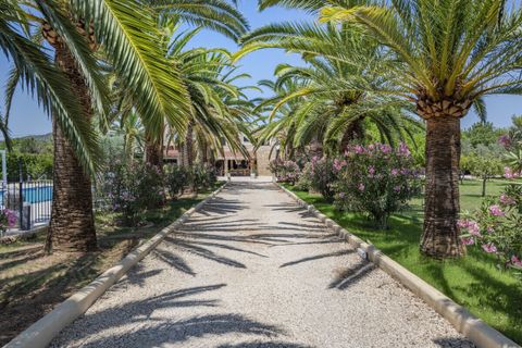 Masia a Binissalem, Mallorca, Binissalem - € 3.400.000 | Ref: SH-1647 - foto 2
