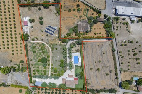 Masia a Binissalem, Mallorca, Binissalem - € 3.400.000 | Ref: SH-1647 - foto 5