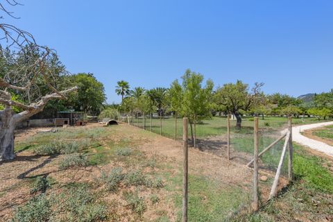 Masia a Binissalem, Mallorca, Binissalem - € 3.400.000 | Ref: SH-1647 - foto 35
