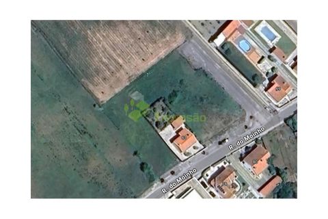 Tomt i Cartaxo, Santarem, Cartaxo - € 60 000 | Ref: 2070 - foto 4