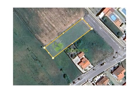 Tomt i Cartaxo, Santarem, Cartaxo - € 60 000 | Ref: 2070 - foto 5